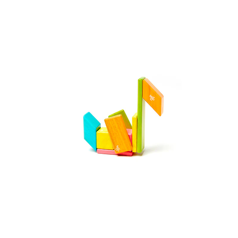 14-Piece Set Magnetic Wooden Blocks Tegu Classics - Image 3