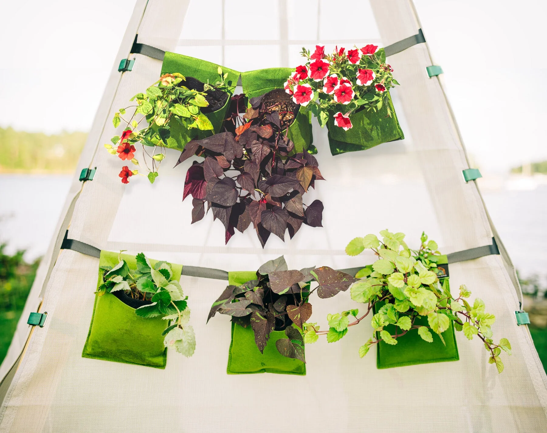 Bijou Bloom Hanging Planters - Image 2