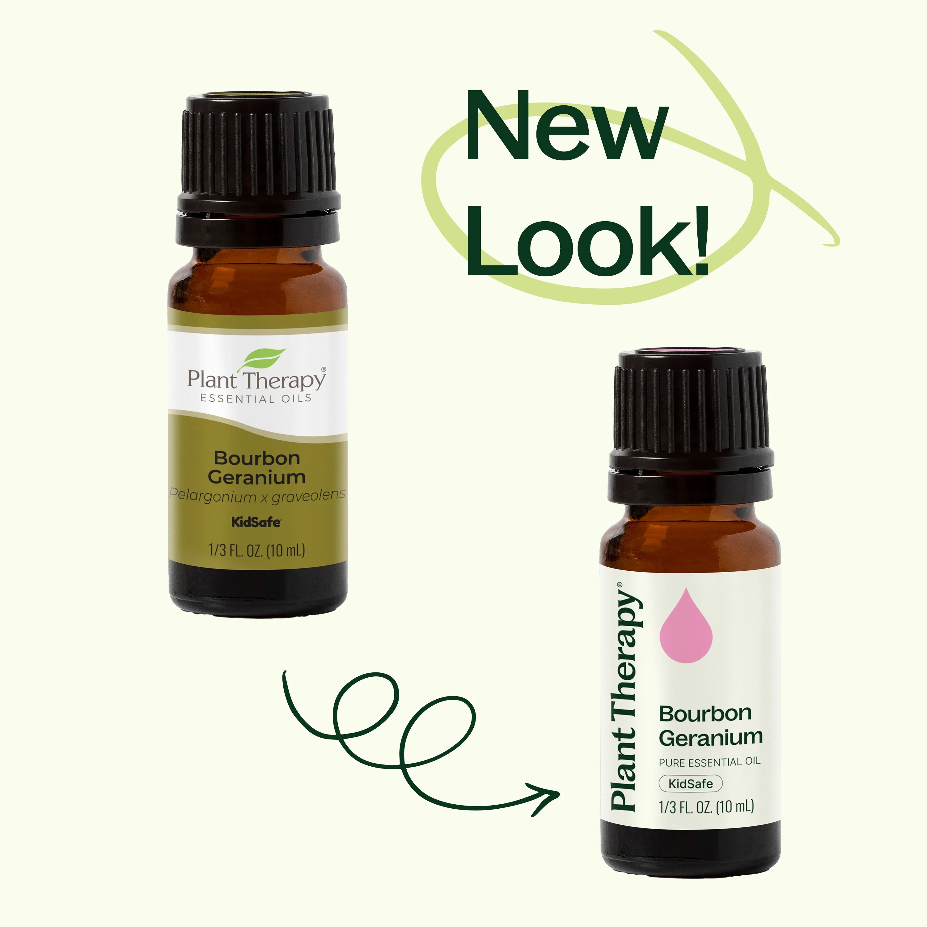 Bourbon Geranium Essential Oil - Image 4