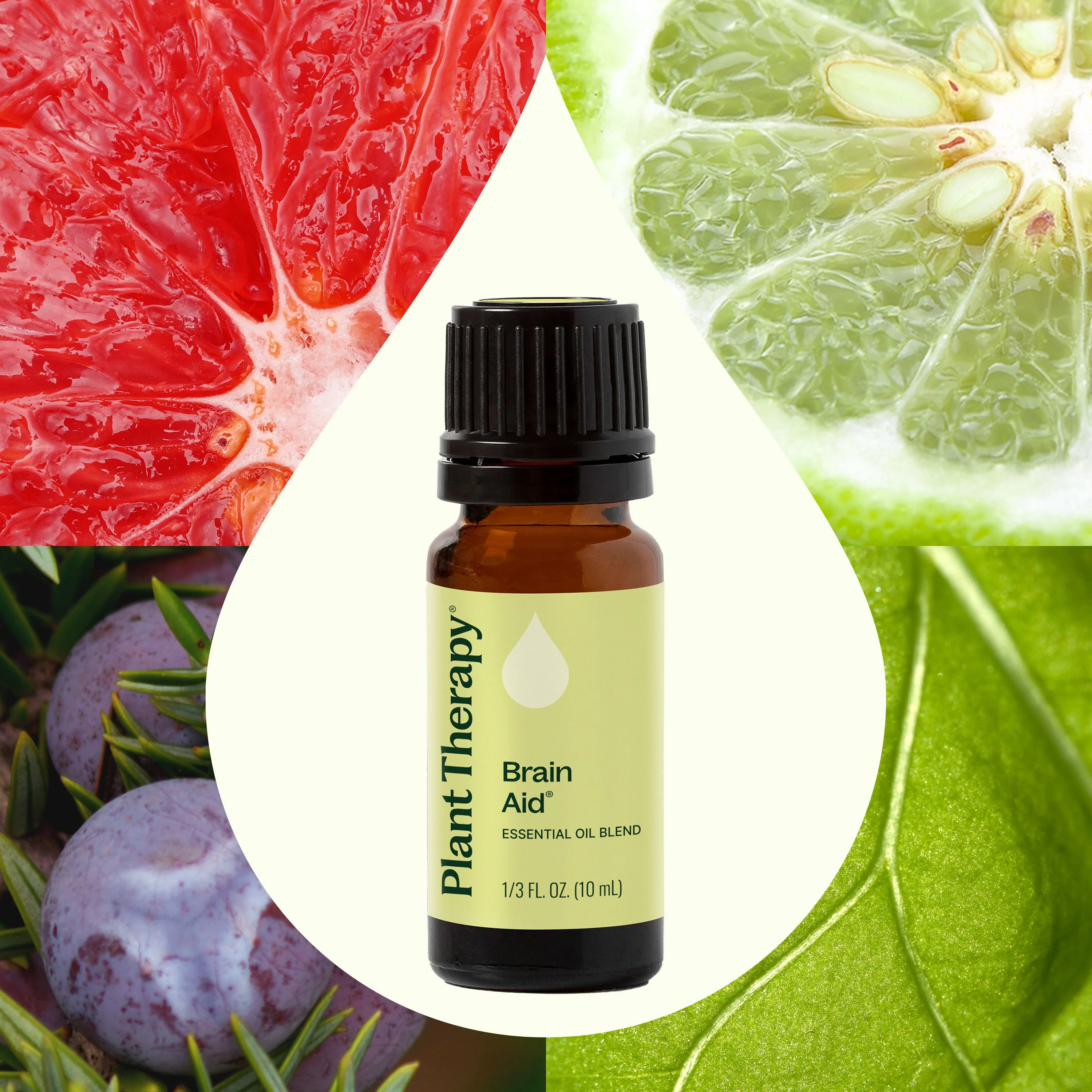 Brain Aid Essential Oil Blend - Image 3