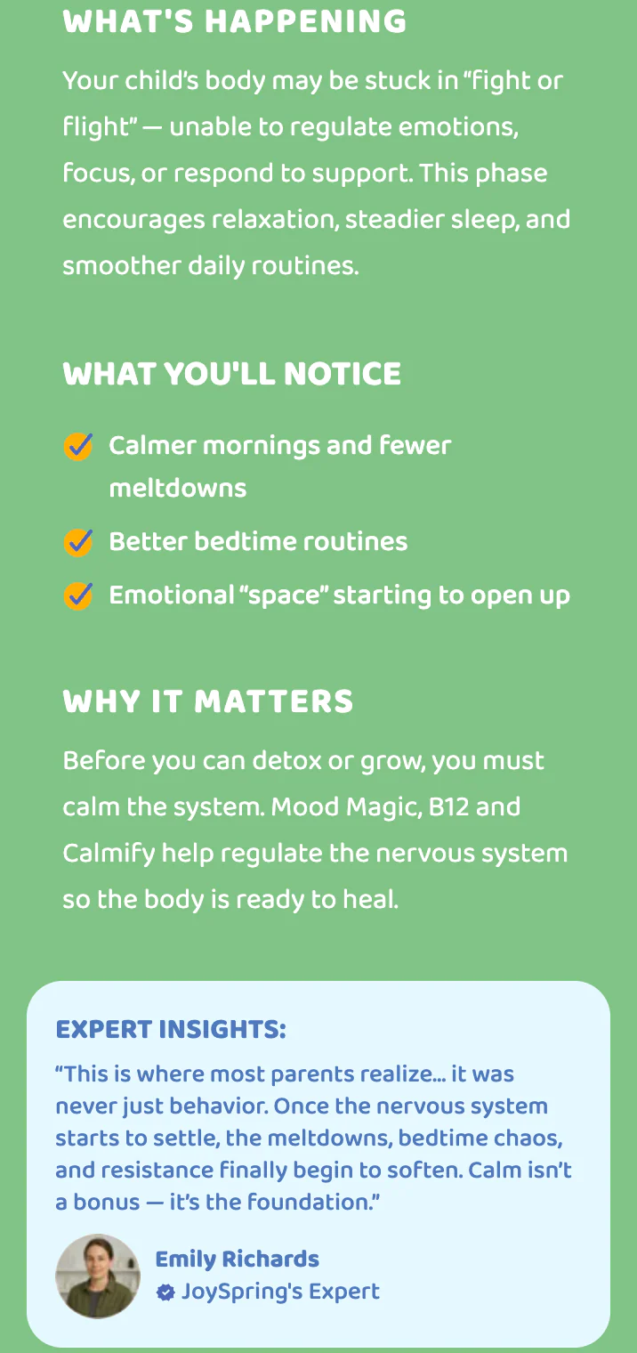 Brain & Body System - Image 13