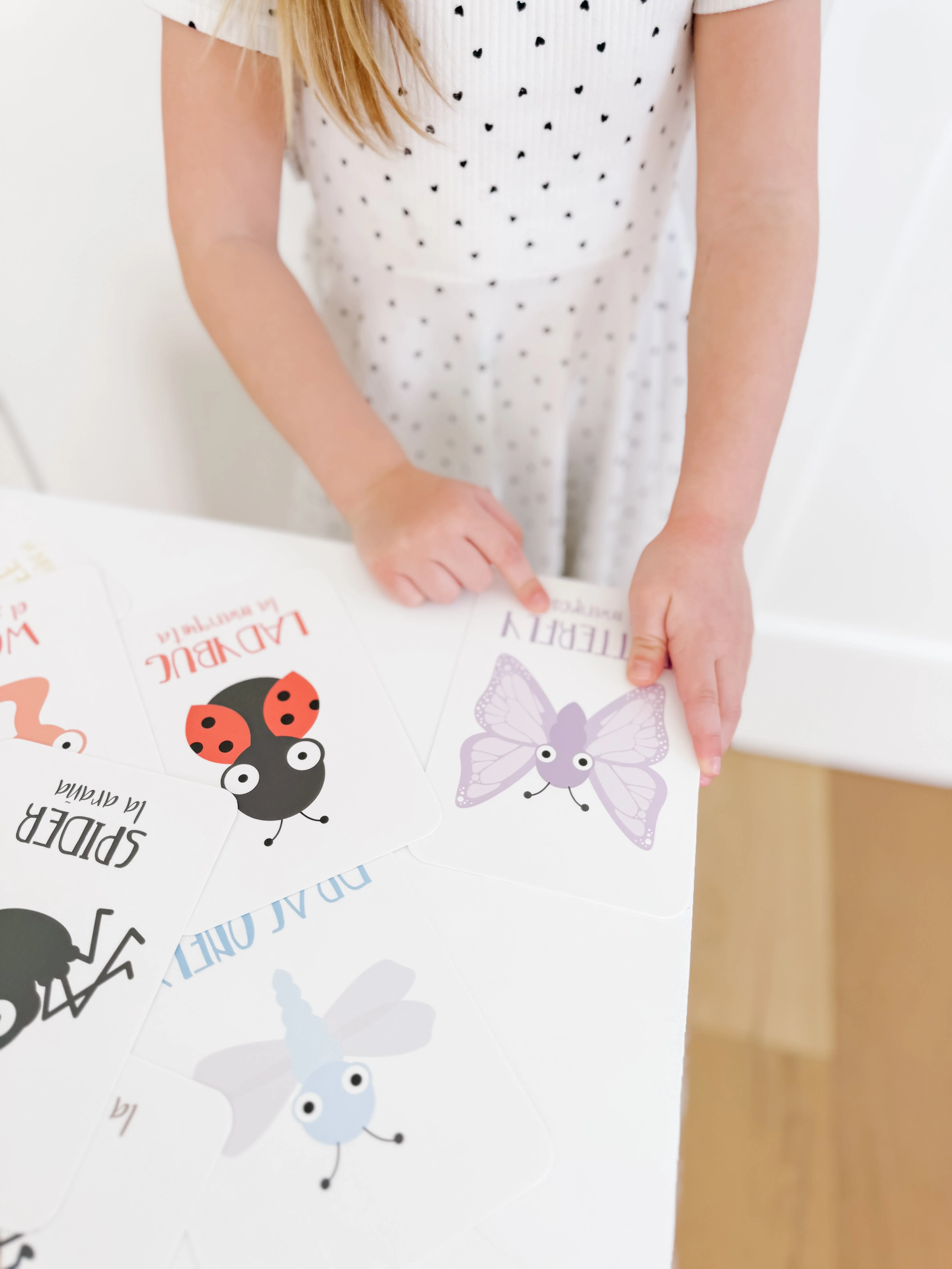 Bugs Flashcards - Image 17