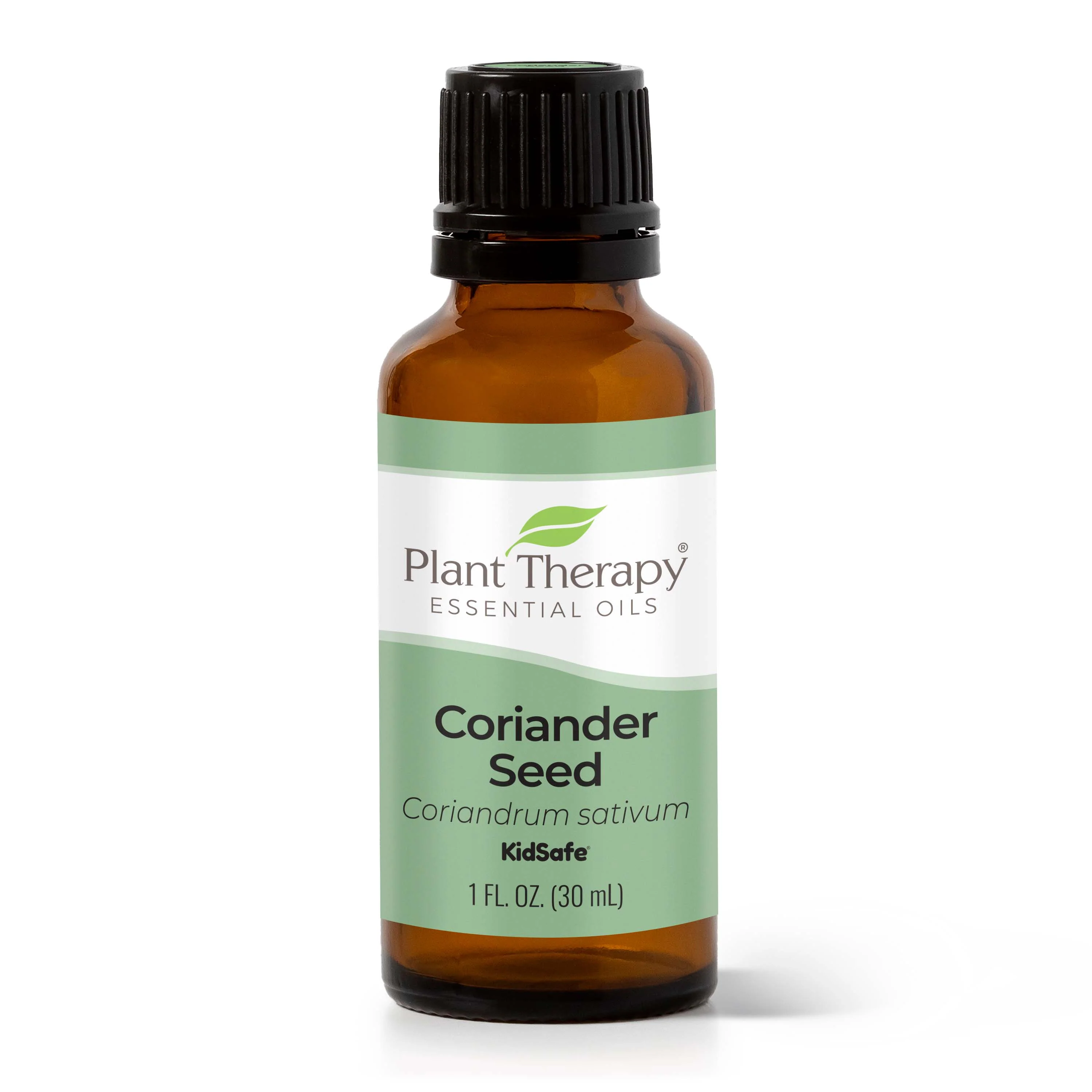 Coriander Seed Essential Oil - Image 2