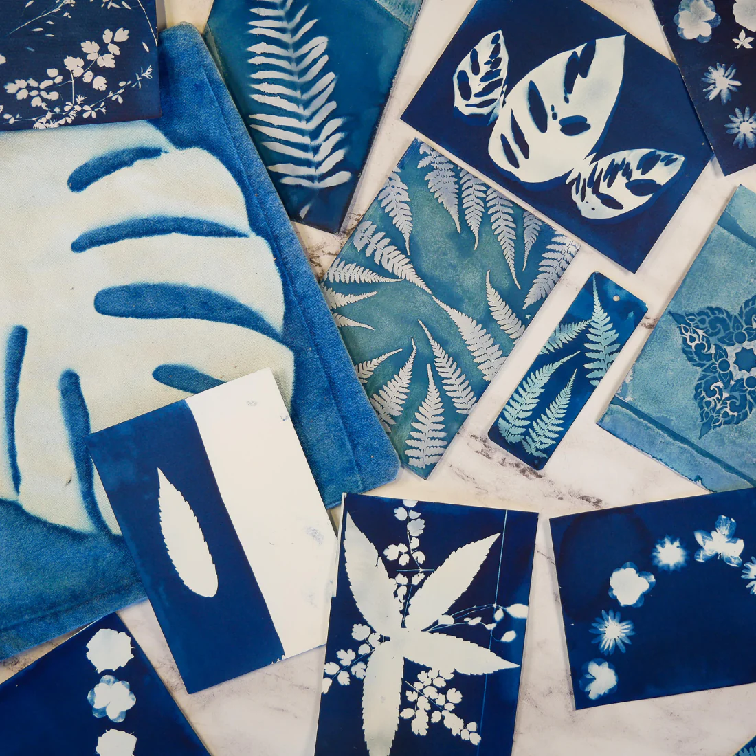 Cyanotype Kit - Image 8