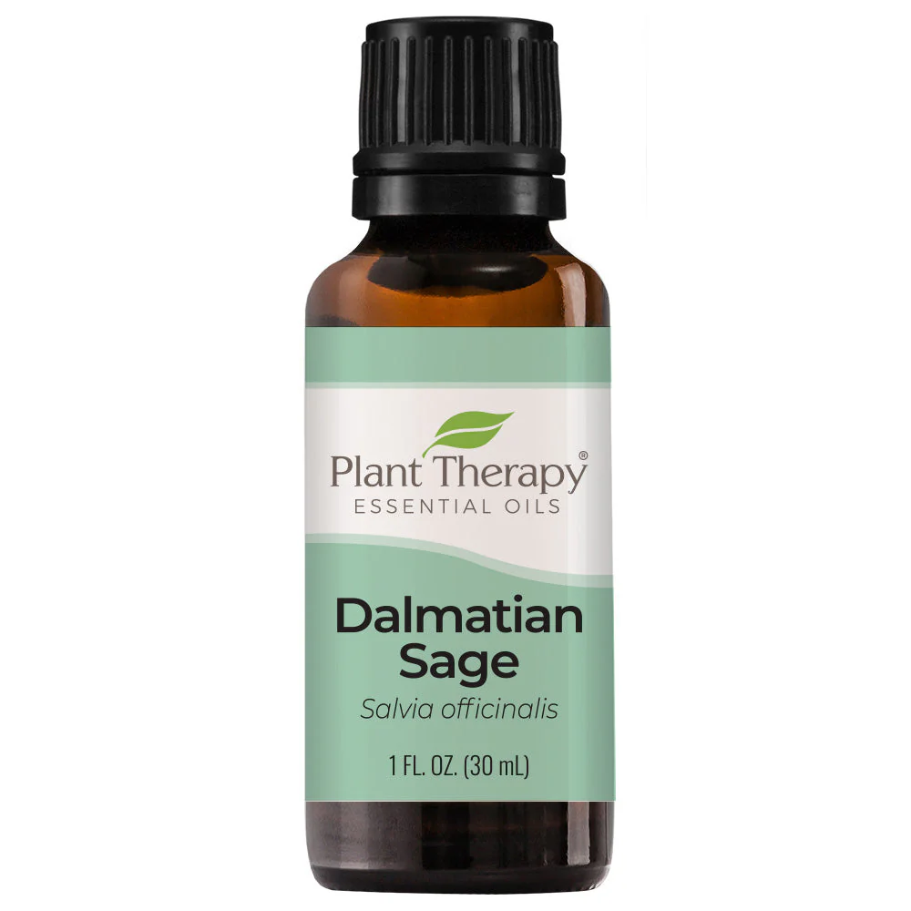 Dalmatian Sage Essential Oil - Image 2