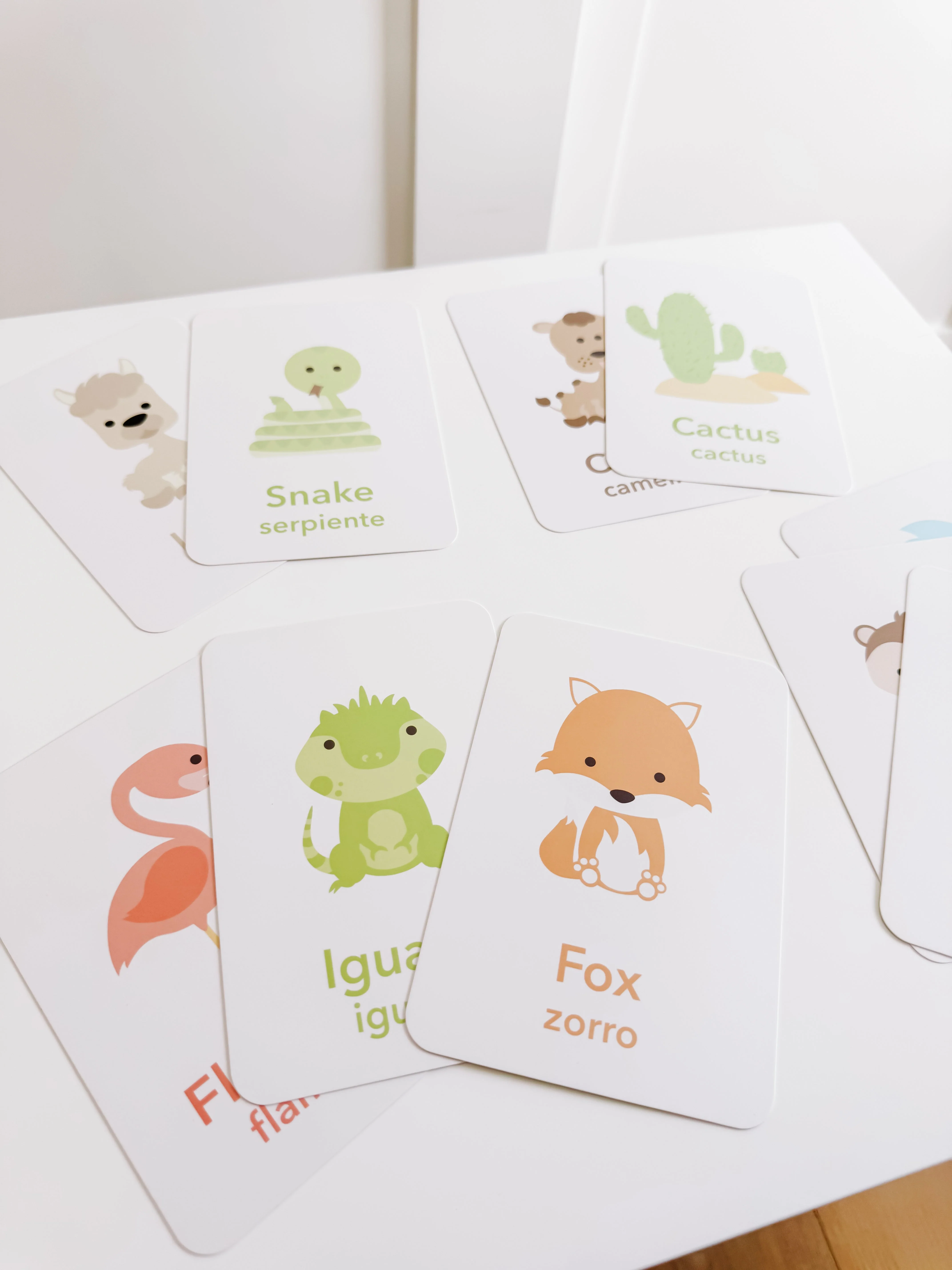 Desert Animal Flashcards - Image 15
