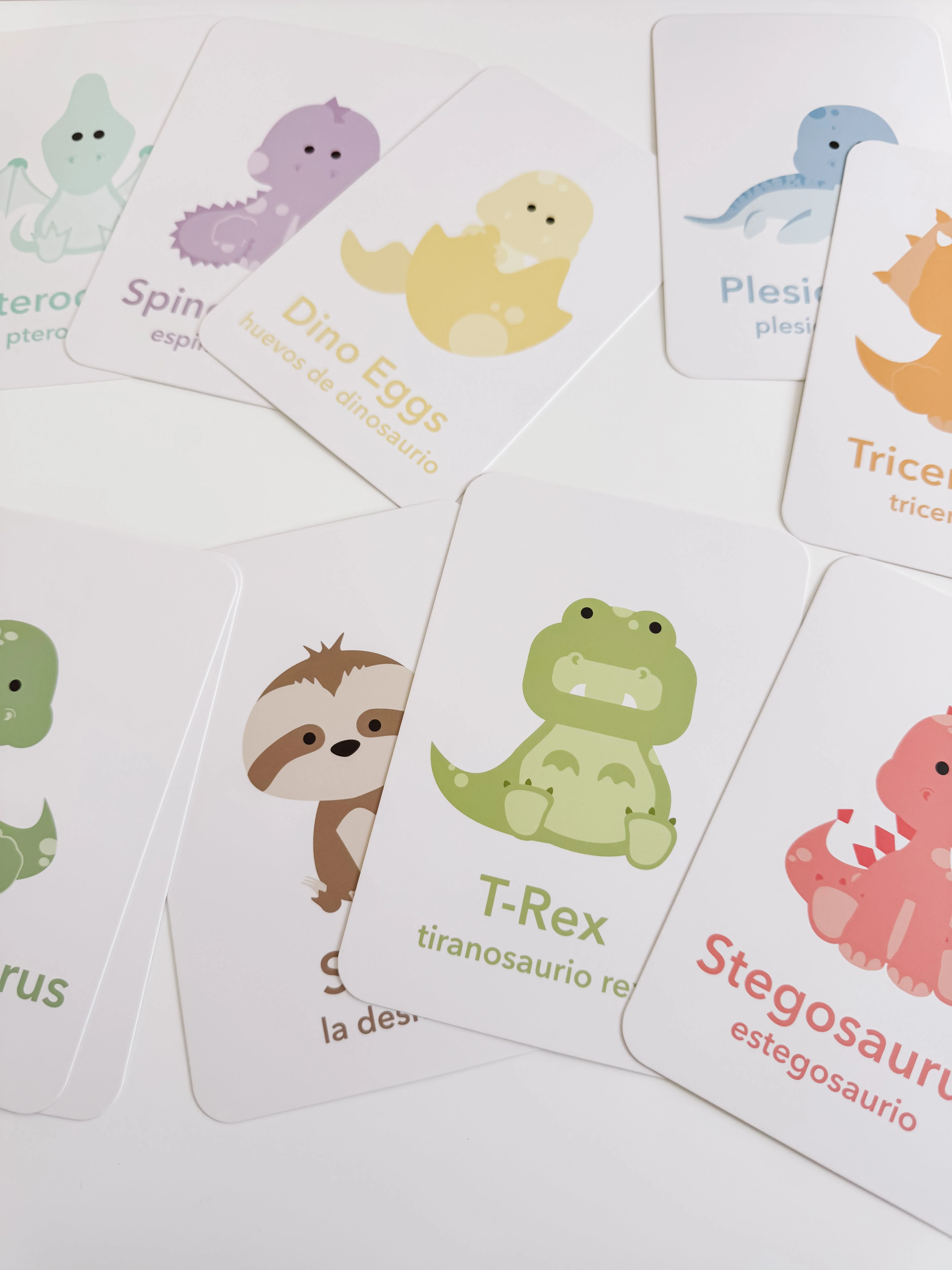 Dinosaur Flashcards - Image 14
