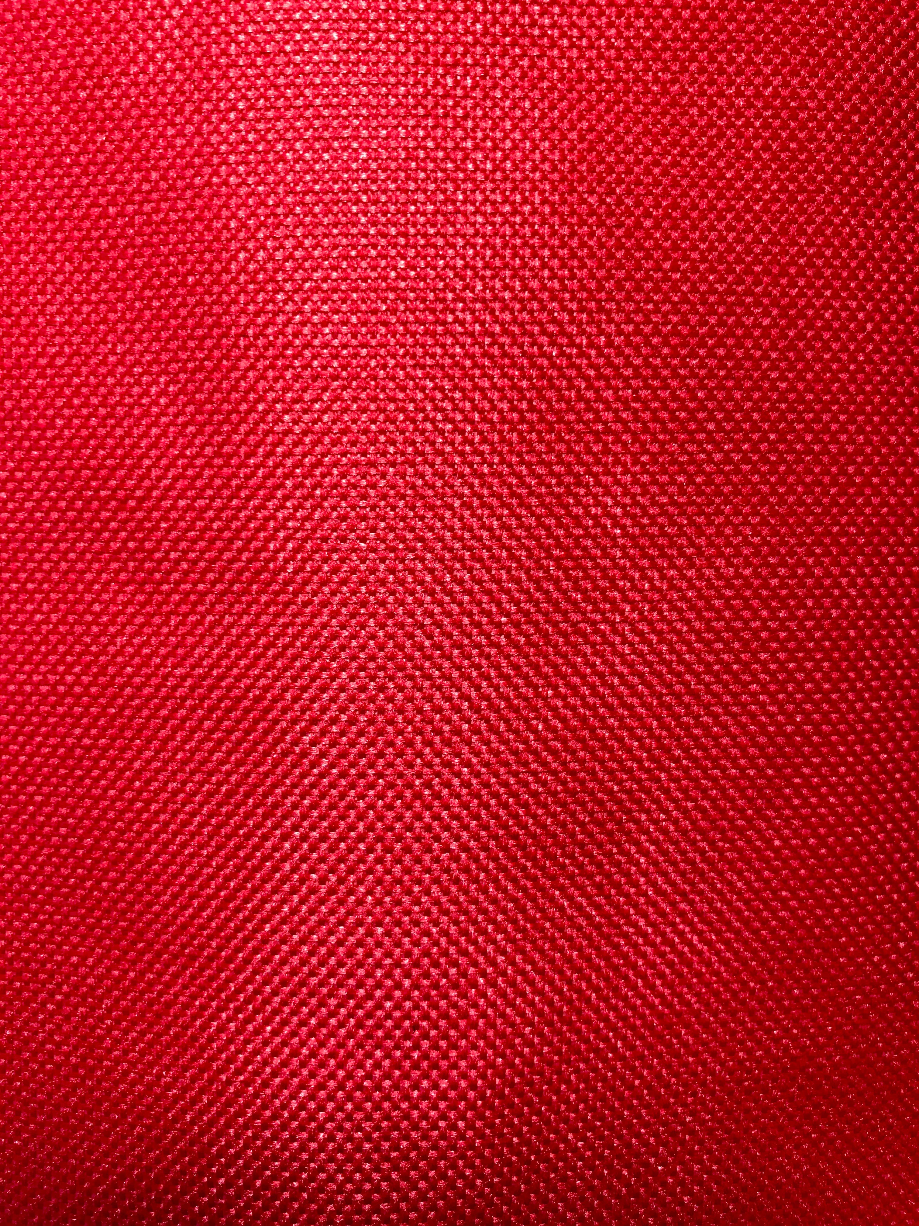 Down Syndrome Backpack Seat/Harness Medical Alert Seatbelt Cover - Image 7