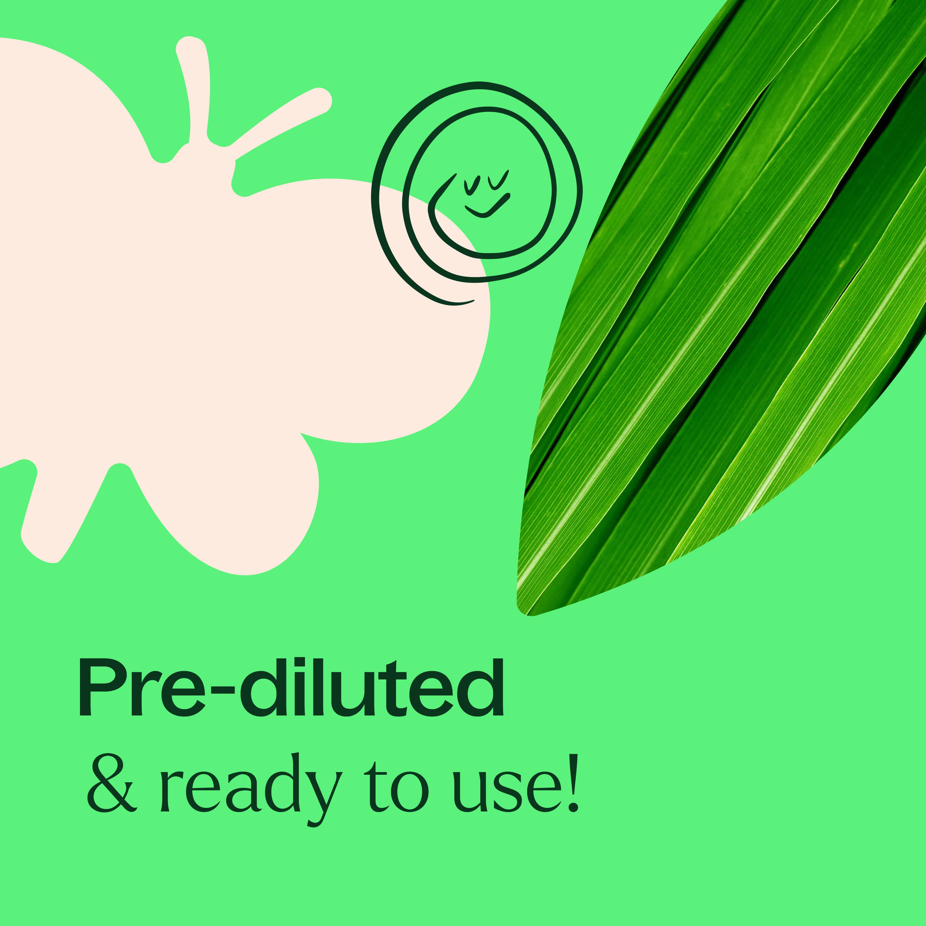 Ear Relief KidSafe Essential Oil - Image 6
