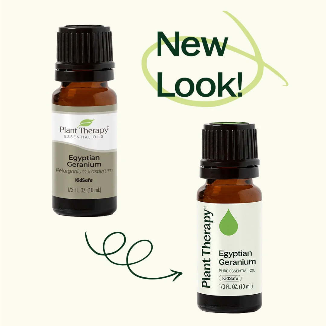 Egyptian Geranium Essential Oil - Image 5