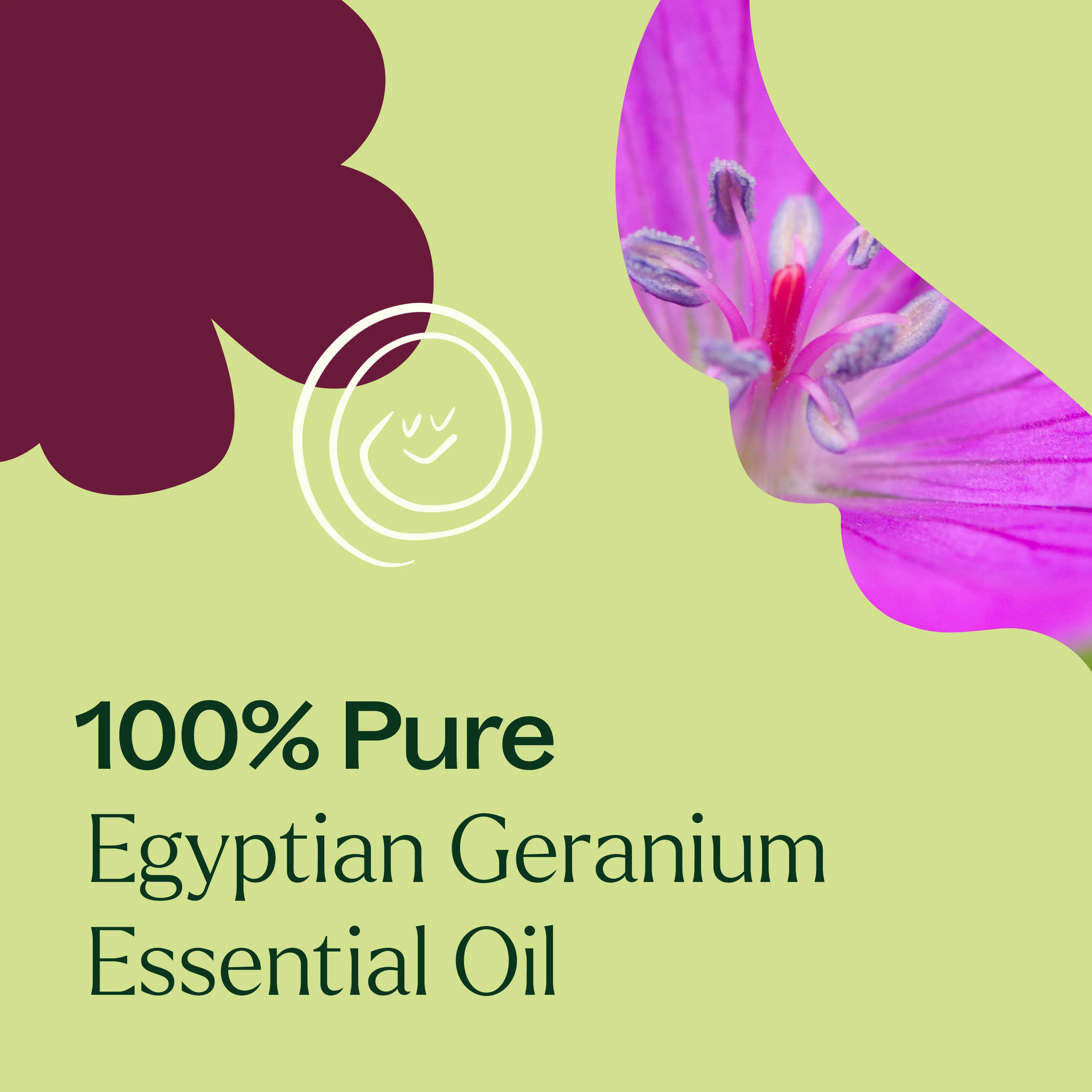 Egyptian Geranium Essential Oil - Image 6