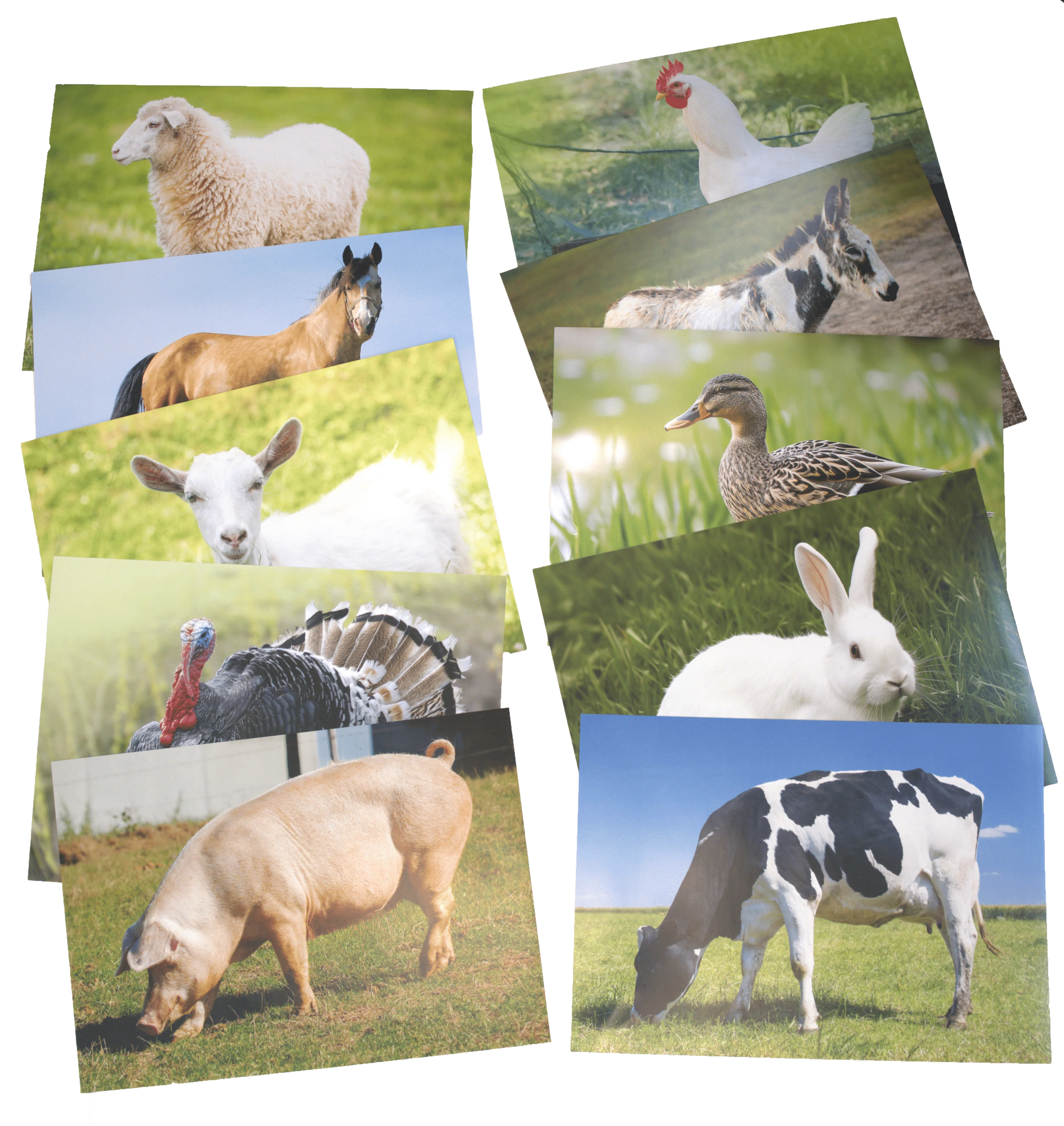 Farm Theme Learning Kit - Image 4