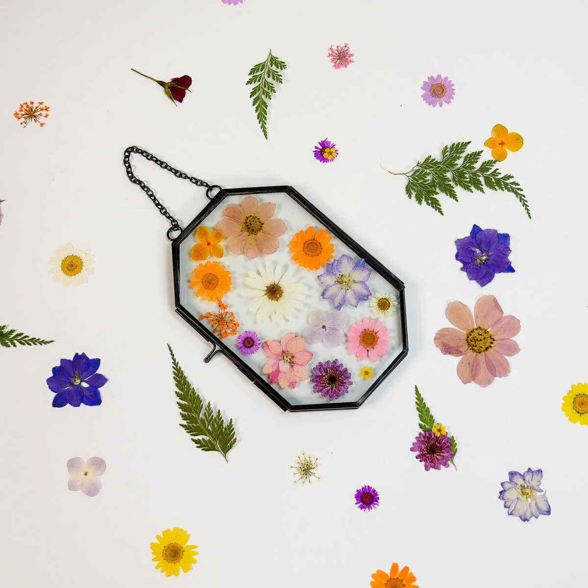 Framed Pressed Flowers Kit - Image 5