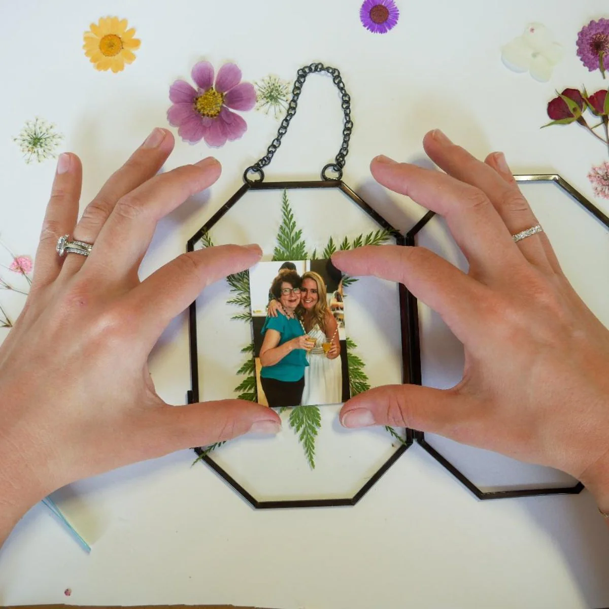 Framed Pressed Flowers Kit - Image 8