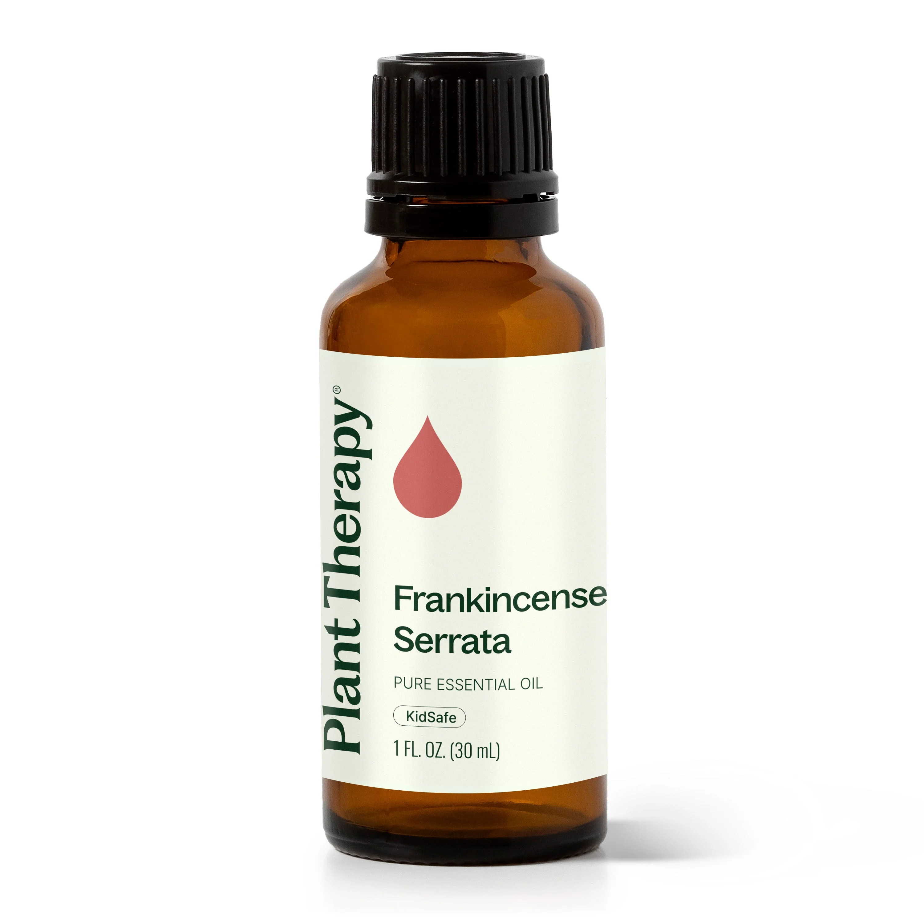 Frankincense Serrata Essential Oil - Image 6
