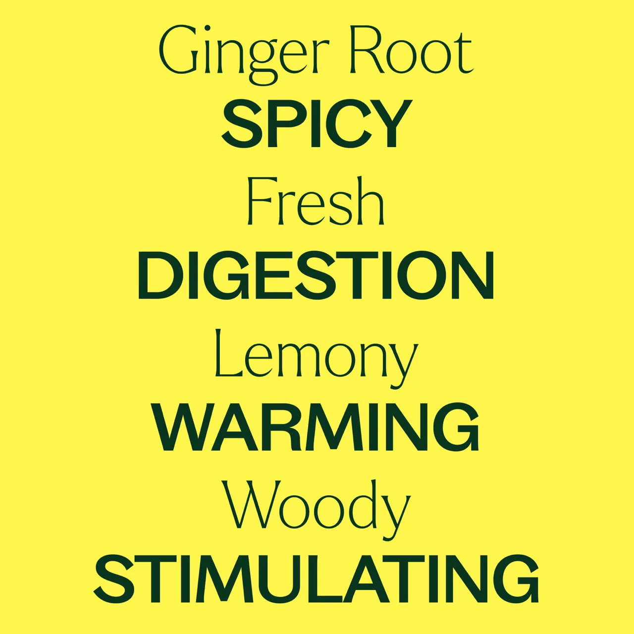 Ginger Root CO2 Extract - Image 3