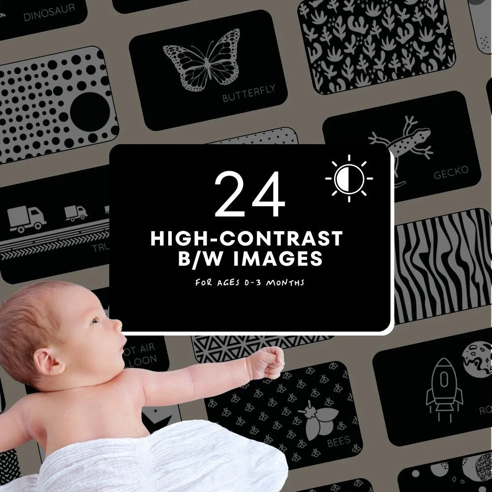 High-Contrast Vision Development Cards - Image 3