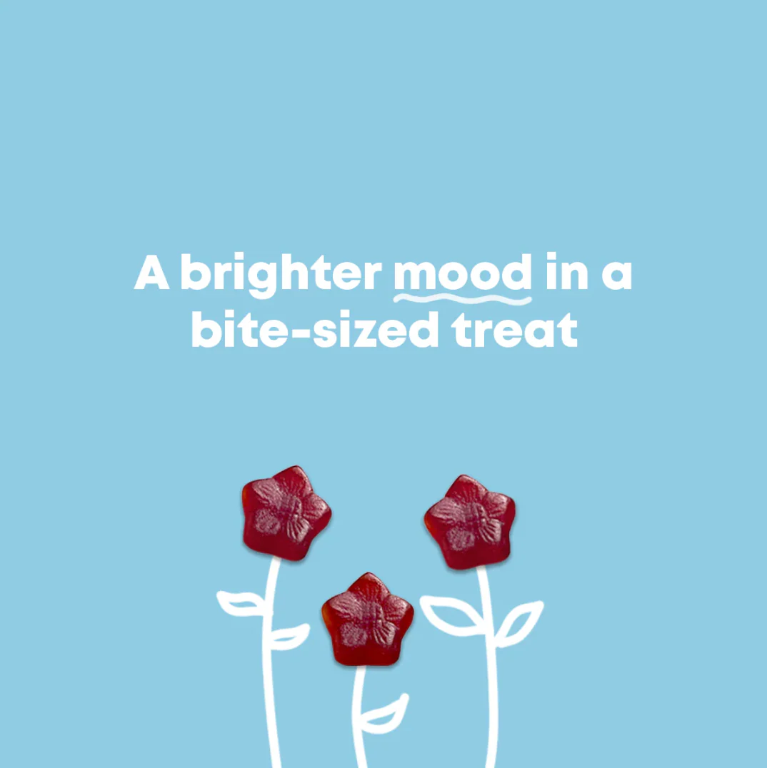 Mood Munchies - JoySpring Kids Saffron Gummies - Image 3