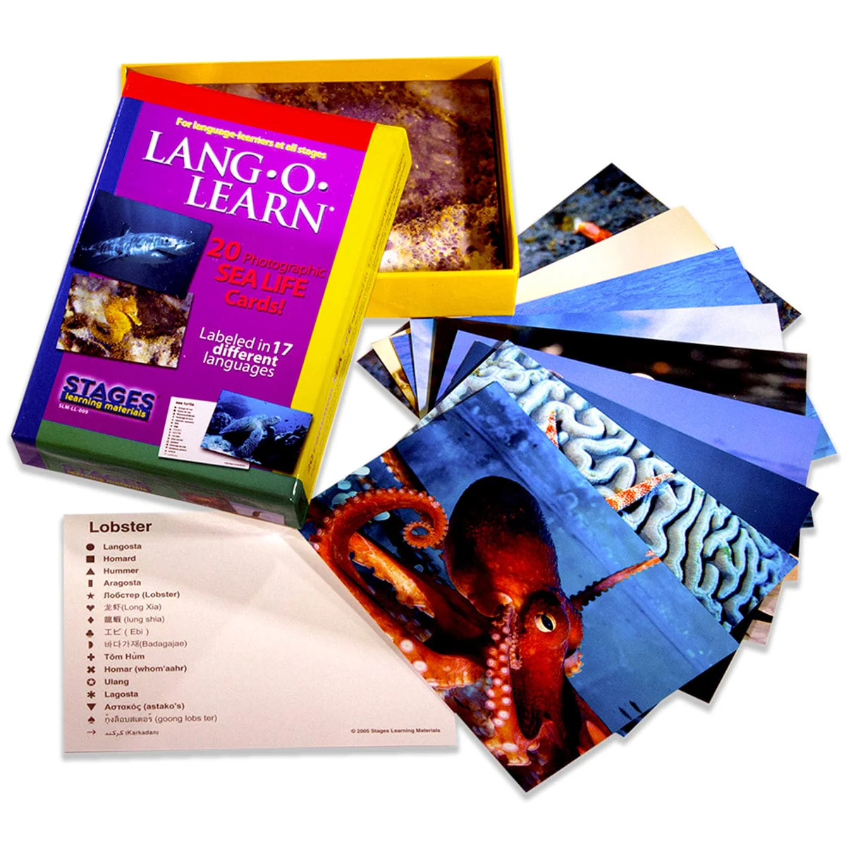 Lang-O-Learn Sea Life Cards - Image 3