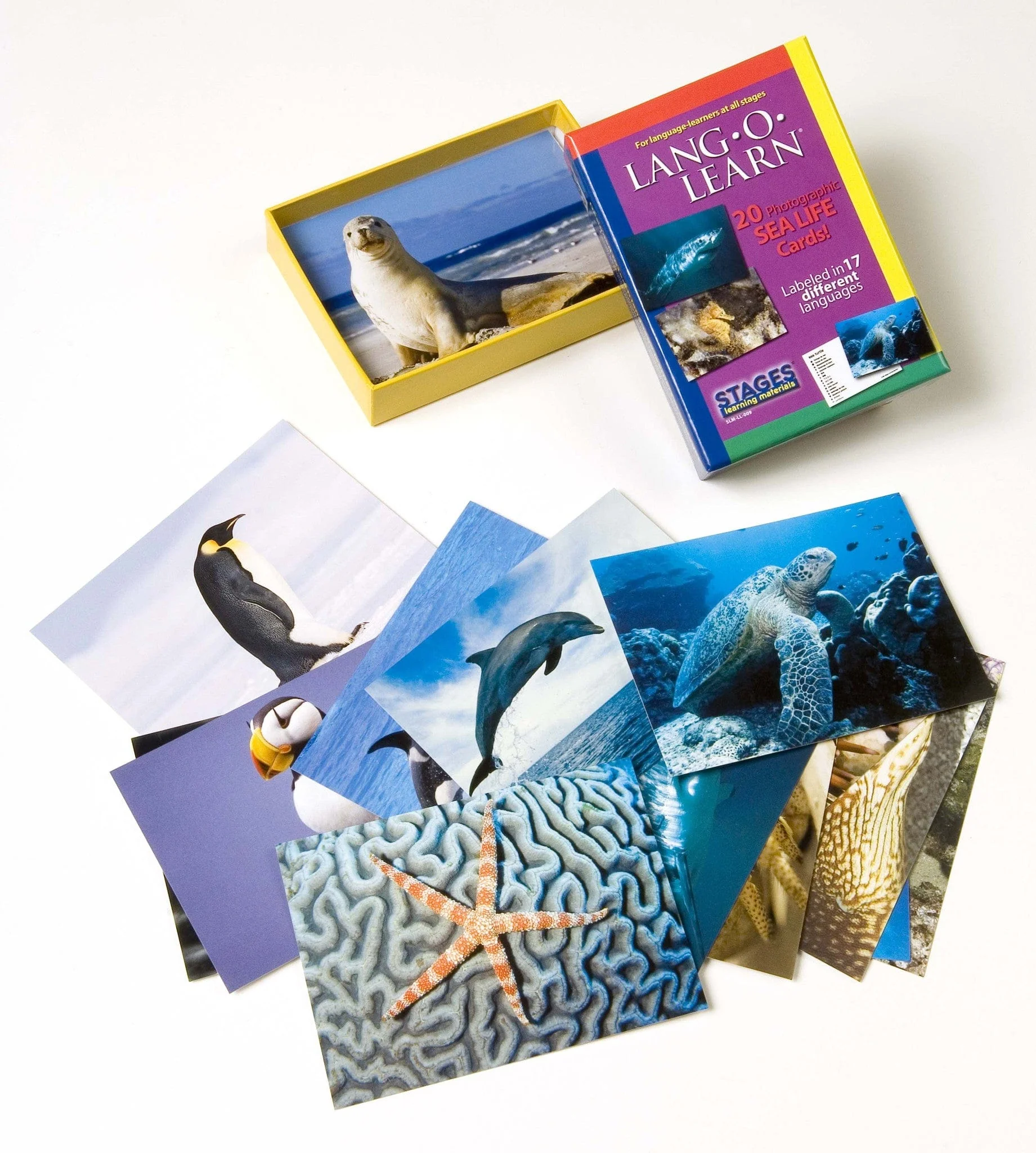 Lang-O-Learn Sea Life Cards - Image 4