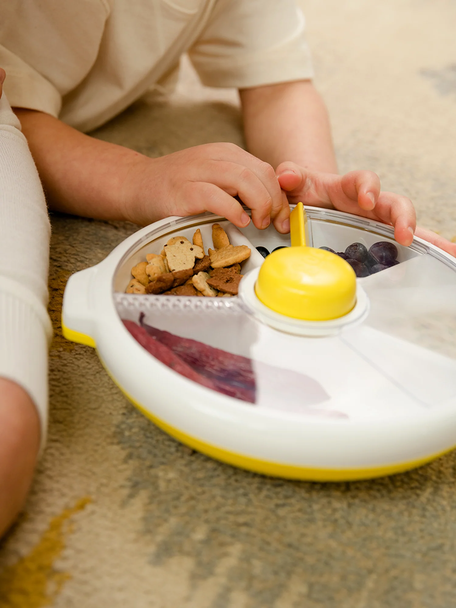 Large Snack Spinner Slide - Image 17