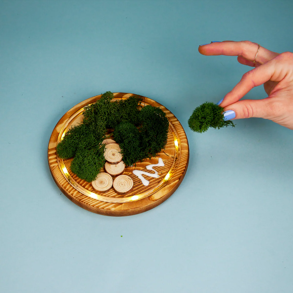 LED Fairy Garden Kit - Image 3