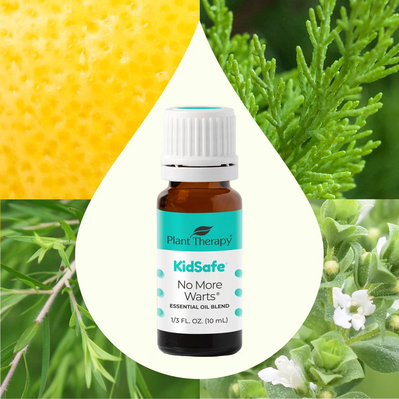 No More Warts KidSafe Essential Oil - Image 2