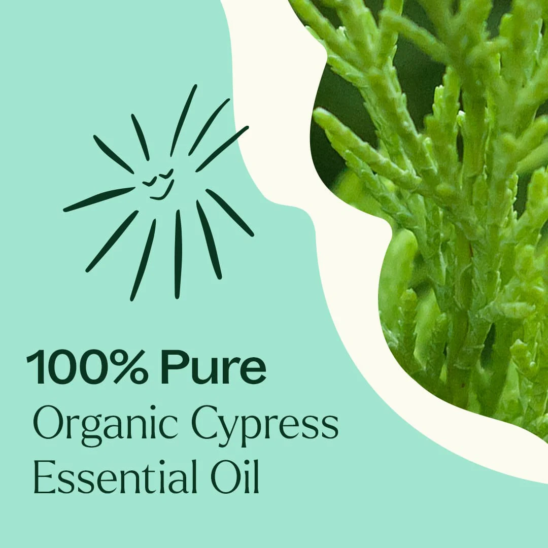 Organic Cypress Essential Oil - Image 5