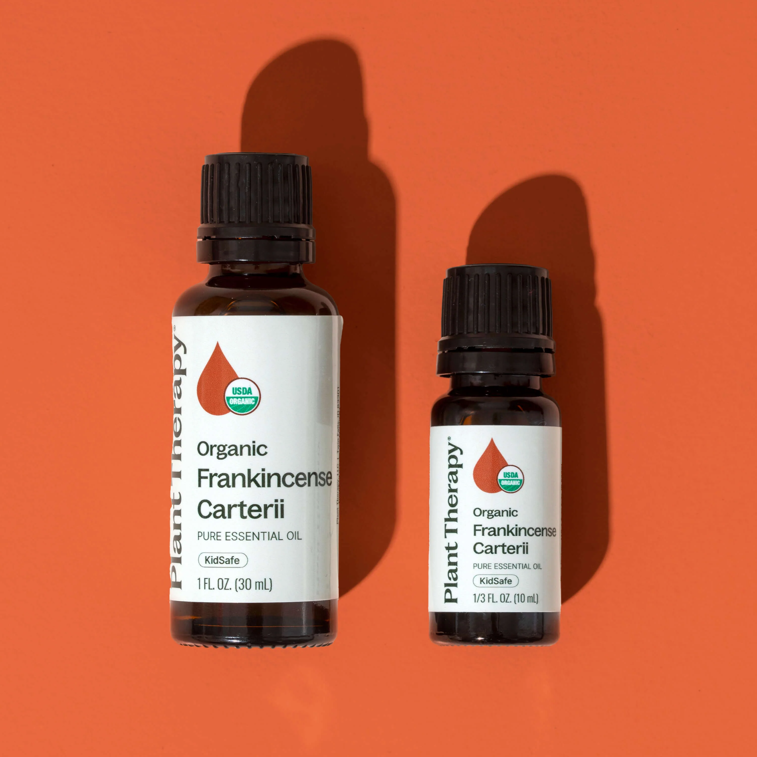 Organic Frankincense Carterii Essential Oil - Image 9