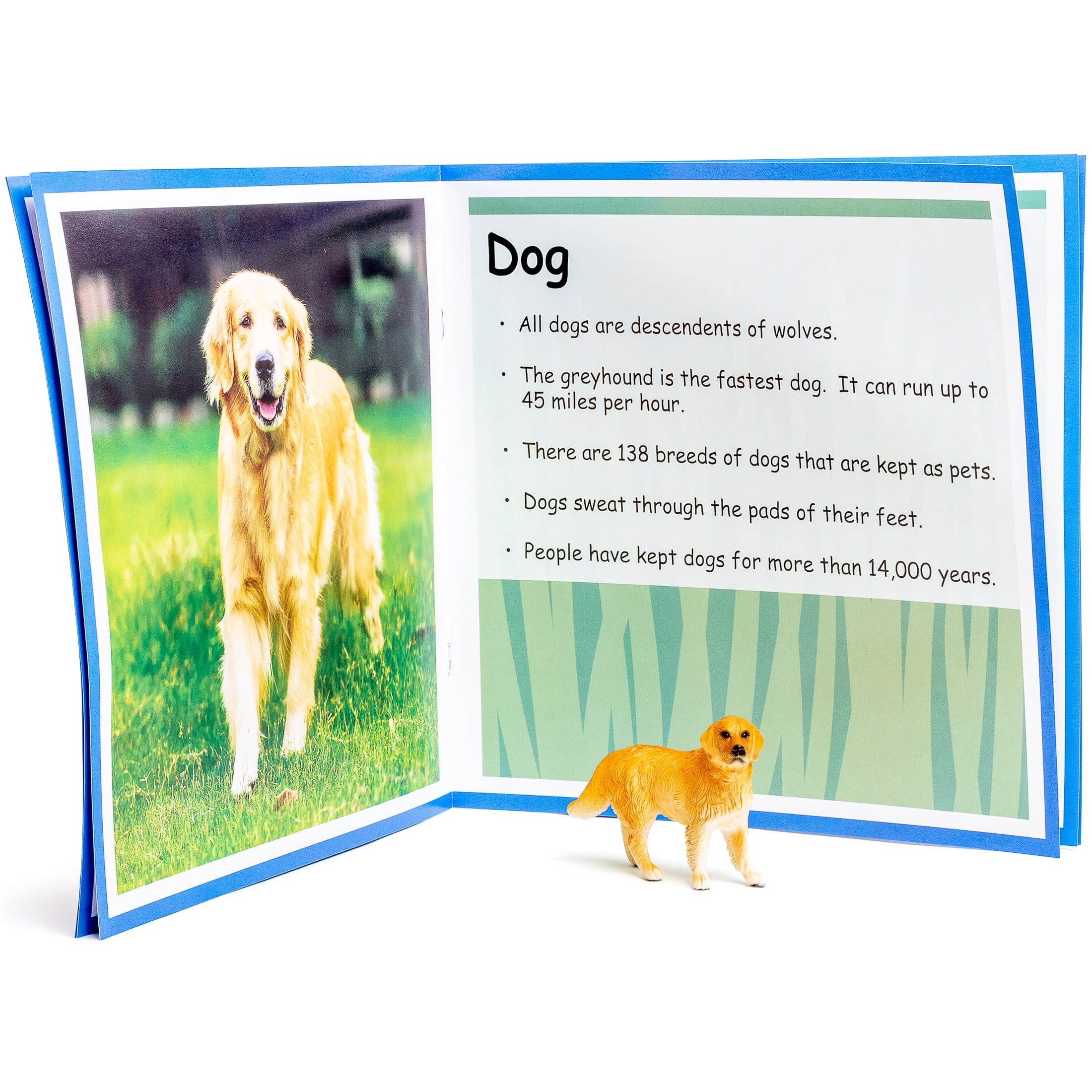 Play Builder Animals - Image 7