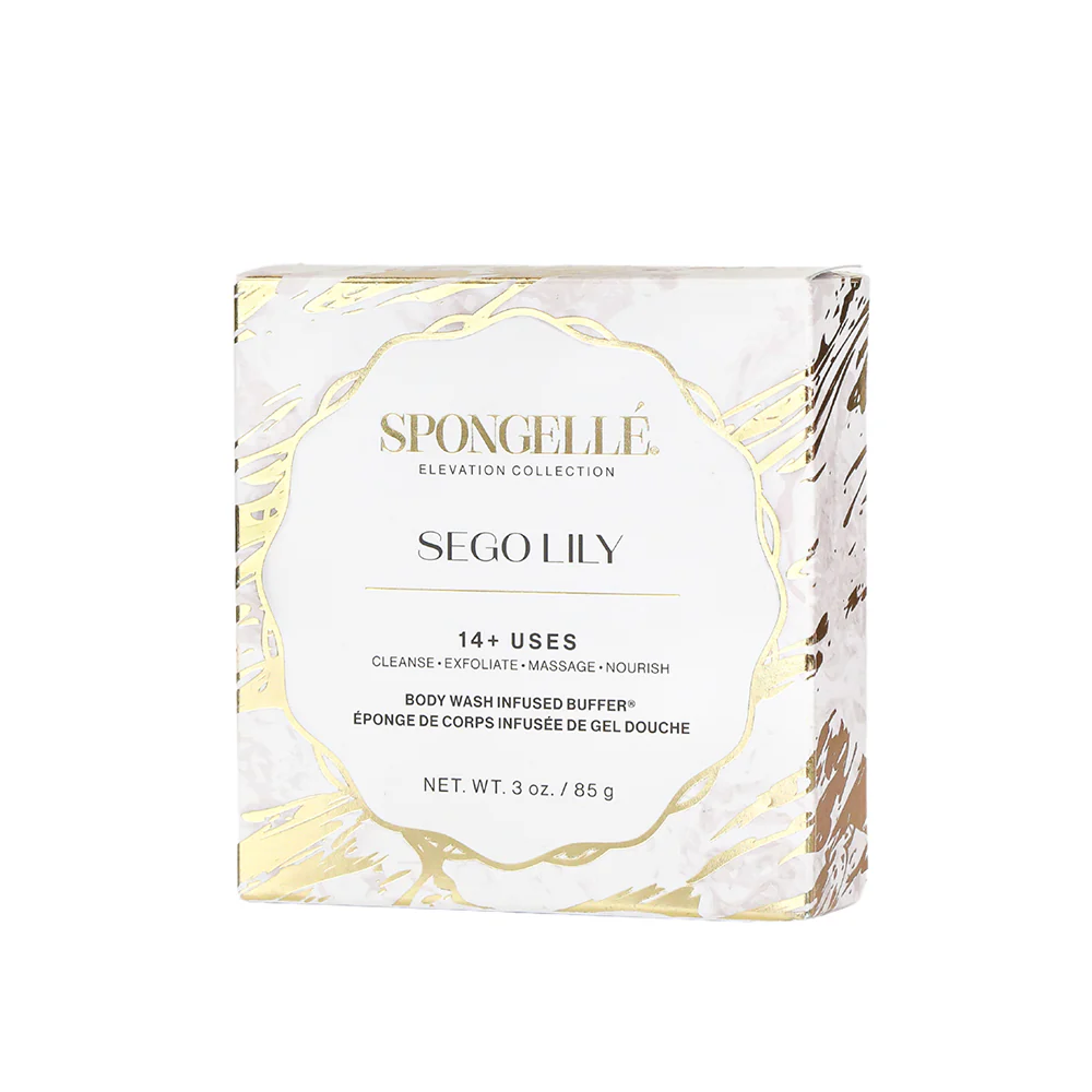 Sego Lily | Elevation Boxed Flower - Image 4