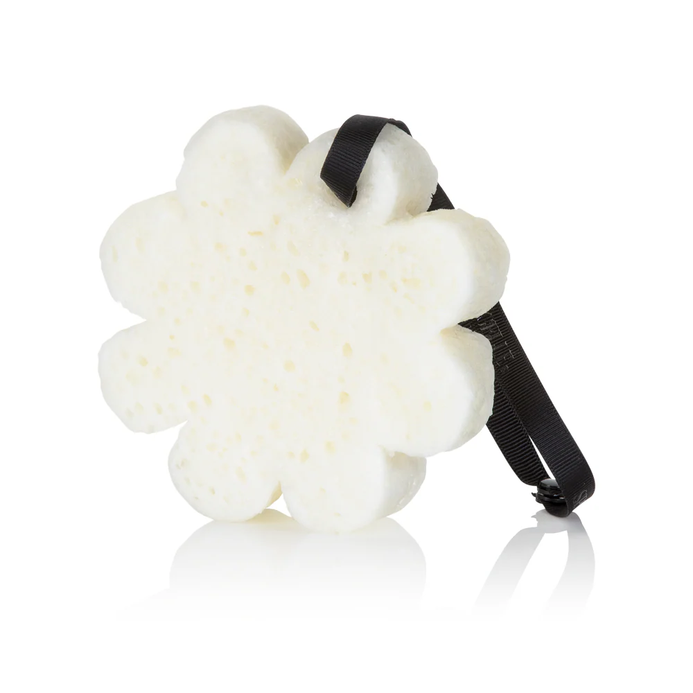 Sego Lily | Elevation Boxed Flower - Image 5