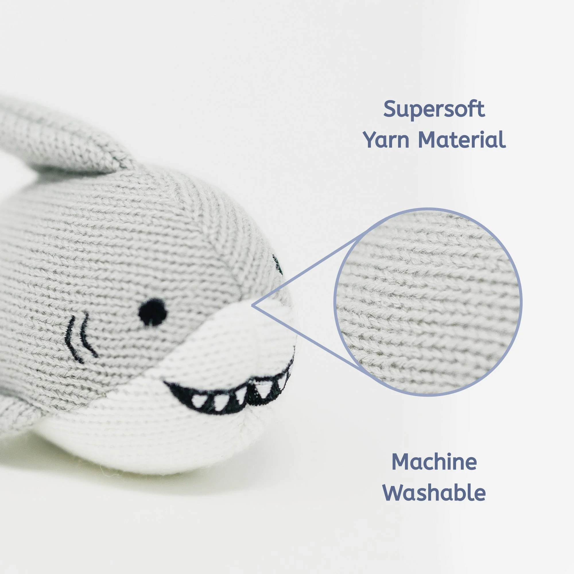 Shark - Image 5