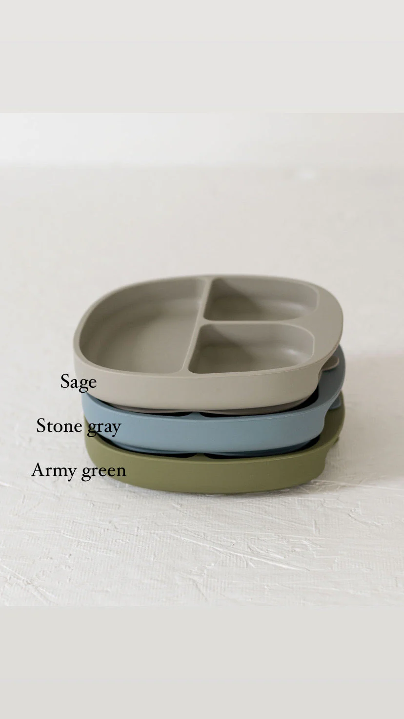 Silicone Plates - Image 17