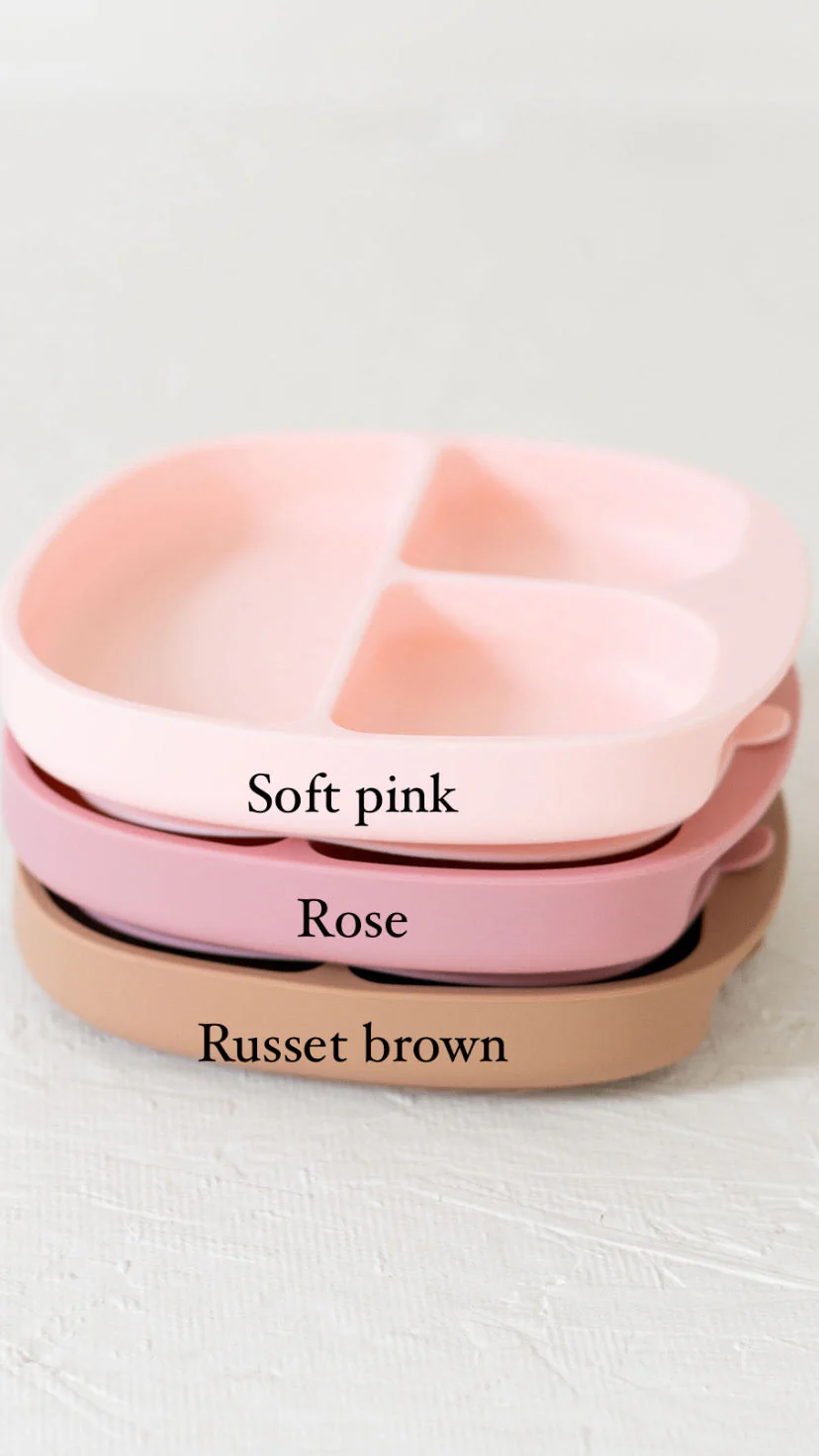 Silicone Plates - Image 18