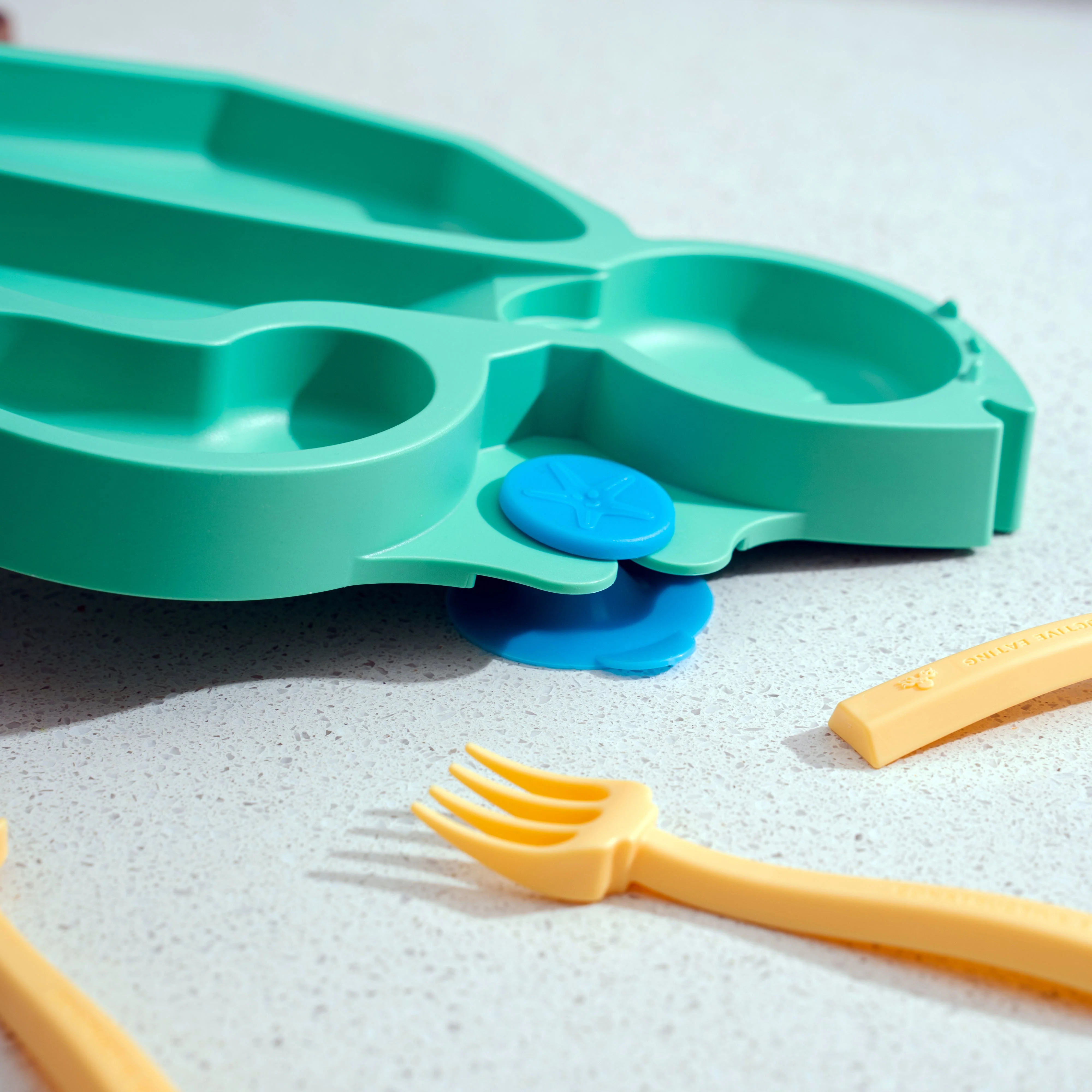 Turtle Training Plate and Utensils - Image 3