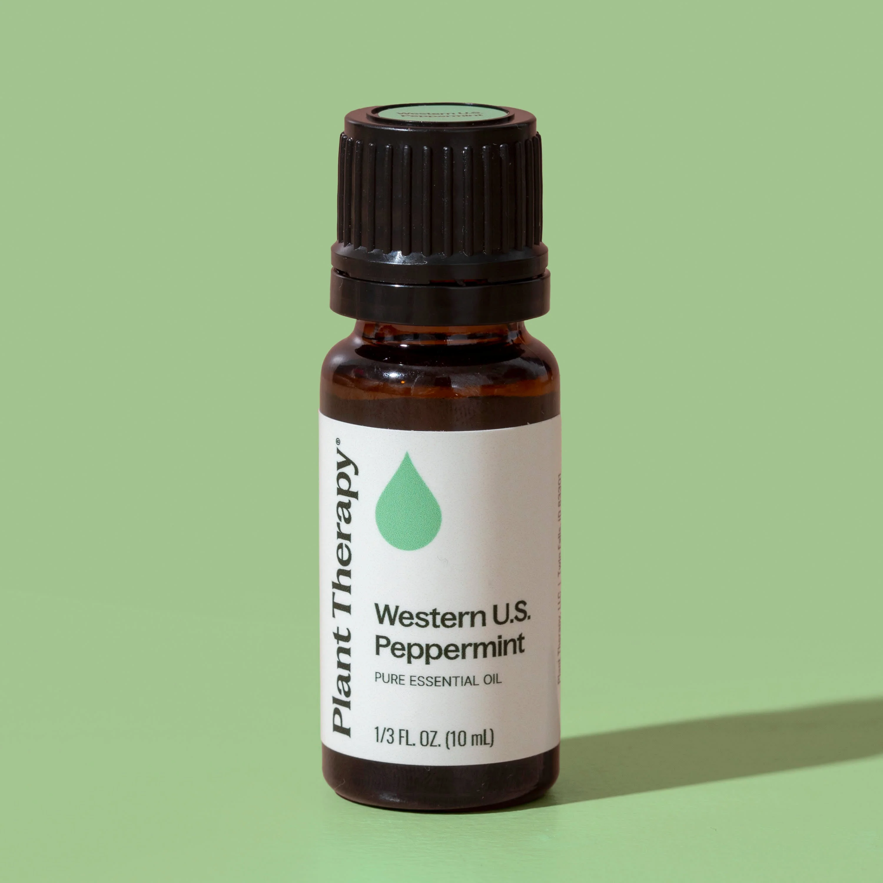 Western U.S. Peppermint Essential Oil - Image 11